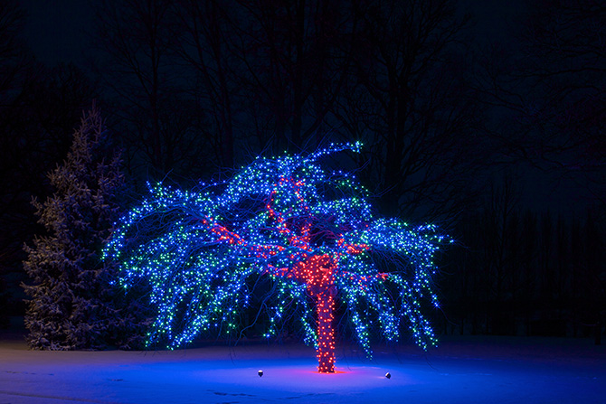 holiday-lighting-2013-01