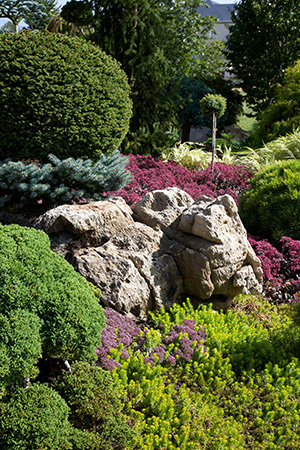 landscaping-ground-cover