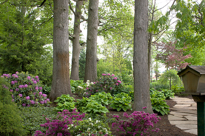 master-gardeners-of-valparaiso-garden-walk-03